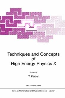 Techniques and Concepts of High Energy Physics X