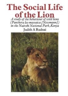 The Social Life of the Lion : A study of the behaviour of wild lions (Panthera leo massaica [Newmann]) in the Nairobi National Park, Kenya