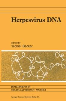 Herpesvirus DNA : Recent studies on the organization of viral genomes, mRNA transcription, DNA replication, defective DNA, and viral DNA sequences in transformed cells and bacterial plasmids