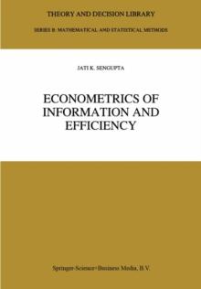 Econometrics of Information and Efficiency