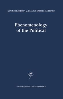 Phenomenology of the Political