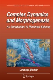 Complex Dynamics and Morphogenesis : An Introduction to Nonlinear Science