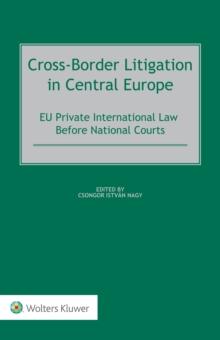 Cross-Border Litigation in Central Europe : EU Private International Law Before National Courts