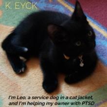 I'm Leo, a service dog in a cat jacket, and I'm helping my owner with PTSD : How I help my owner with her  Post Traumatic Stress Disorder, and Overstimulation