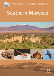 Southern Morocco