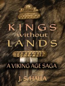 Kings Without Lands : A Viking Age Saga