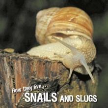 How they live... Snails and Slugs