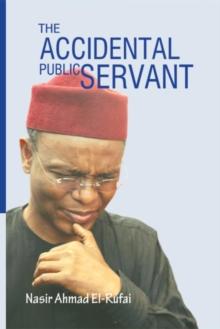 The Accidental Public Servant