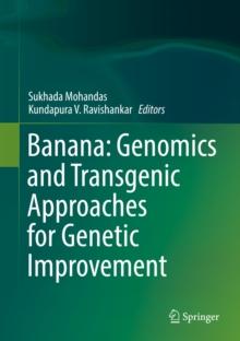 Banana: Genomics and Transgenic Approaches for Genetic Improvement