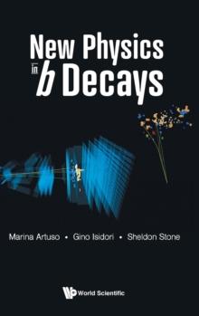 New Physics In B Decays