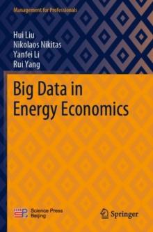 Big Data in Energy Economics