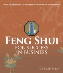 Feng Shui for Success in Business