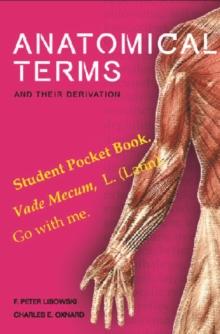 Anatomical Terms And Their Derivation