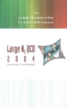 Large Nc Qcd 2004 - Proceedings Of The Workshop