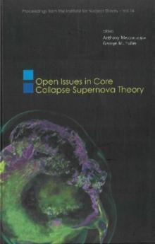 Open Issues In Core Collapse Supernova Theory