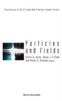 Particles And Fields: Proceedings Of The Xi Jorge Andre Swieca Summer School