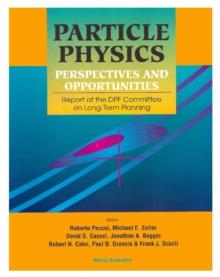 Particle Physics: Perspectives And Opportunities - Report Of The Dpf Committee On Long-term Planning