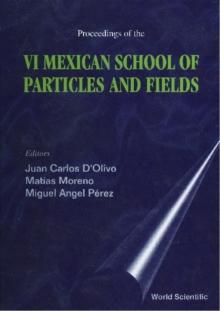 Particles And Fields - Proceedings Of The Vi Mexican School