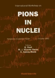 Pions In Nuclei - Proceedings Of The International Workshop