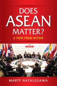 Does ASEAN Matter?