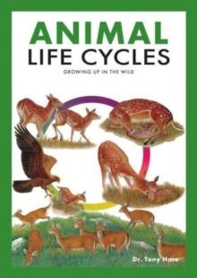 Animal Life Cycles : Discovering How Animals Live in the Wild