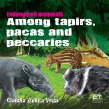 Endangered mammals. Among tapirs, pacas and peccaries