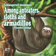 Endangered mammals. Among anteaters, sloths and armadillos