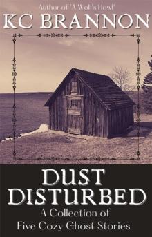 Dust Disturbed: A Collection of Five Cozy Ghost Stories