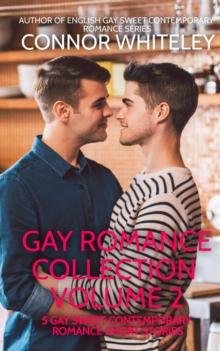 Gay Romance Collection Volume 2: 5 Gay Sweet Contemporary Romance Short Stories