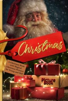 Christmas Picture Book