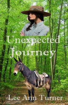 Unexpected Journey