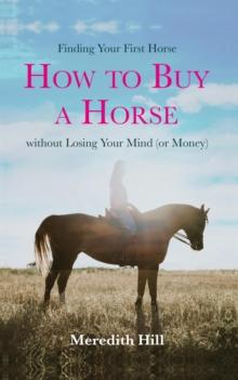 Finding Your First Horse: How to Buy a Horse Without Losing Your Mind (or Money)