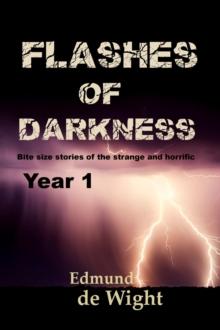 Flashes of Darkness Year 1