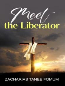 Meet The Liberator : God Loves You, #8