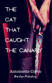 Cat That Caught The Canary