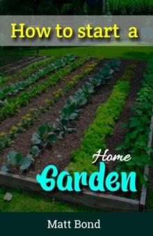 How To Start A Home Garden