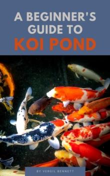 Beginner's Guide To Koi Ponds