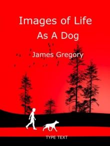 Images of Life as a Dog