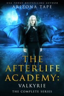 Afterlife Academy: Valkyrie Complete Series