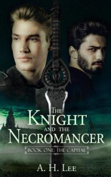 Knight and the Necromancer - Book 1: The Capital