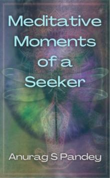 Meditative Moments of a Seeker