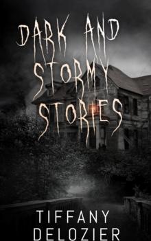 Dark and Stormy Stories : Dark and Stormy Stories, #1