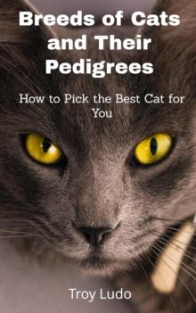 Breeds of Cats and Their Pedigrees: How to Pick the Best Cat for You