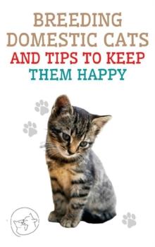 Breeding Domestic Cats and Tips to Keep Them Happy