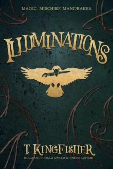 Illuminations