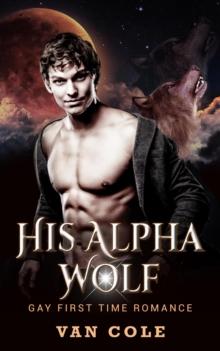 His Alpha Wolf: Gay First Time Romance