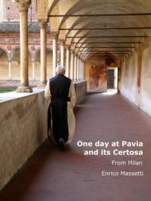 One Day in Pavia