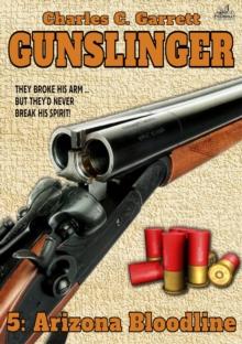 Gunslinger 05: Arizona Bloodline