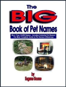 Big Book of Pet Names ~ More than 10,000 Pet Names!  The Most Complete Guide to Pet Names & Meanings