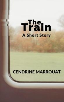 Train: A Short Story